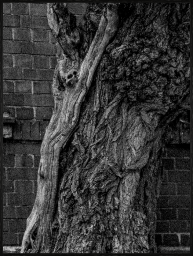 Main image Framed Print 30x40 - KAMENICA 230914 605 - Edition of 100+2AP