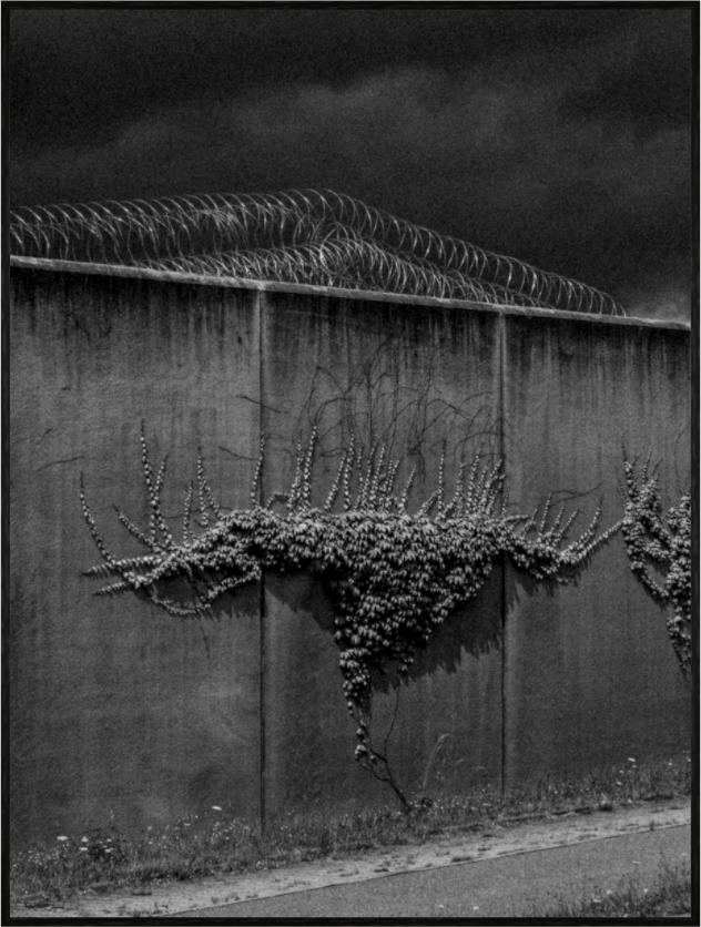 Main image Framed Print 30x40 KAMENICA 230713 284 Edition100