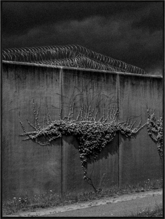 Main image Framed Print 30x40 KAMENICA 230713 284 Edition100