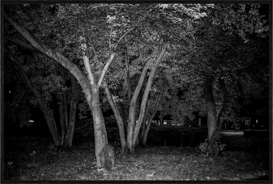 Main image Framed Print 30x20 - KAMENICA 230712 1607 - Edition of 5+2AP